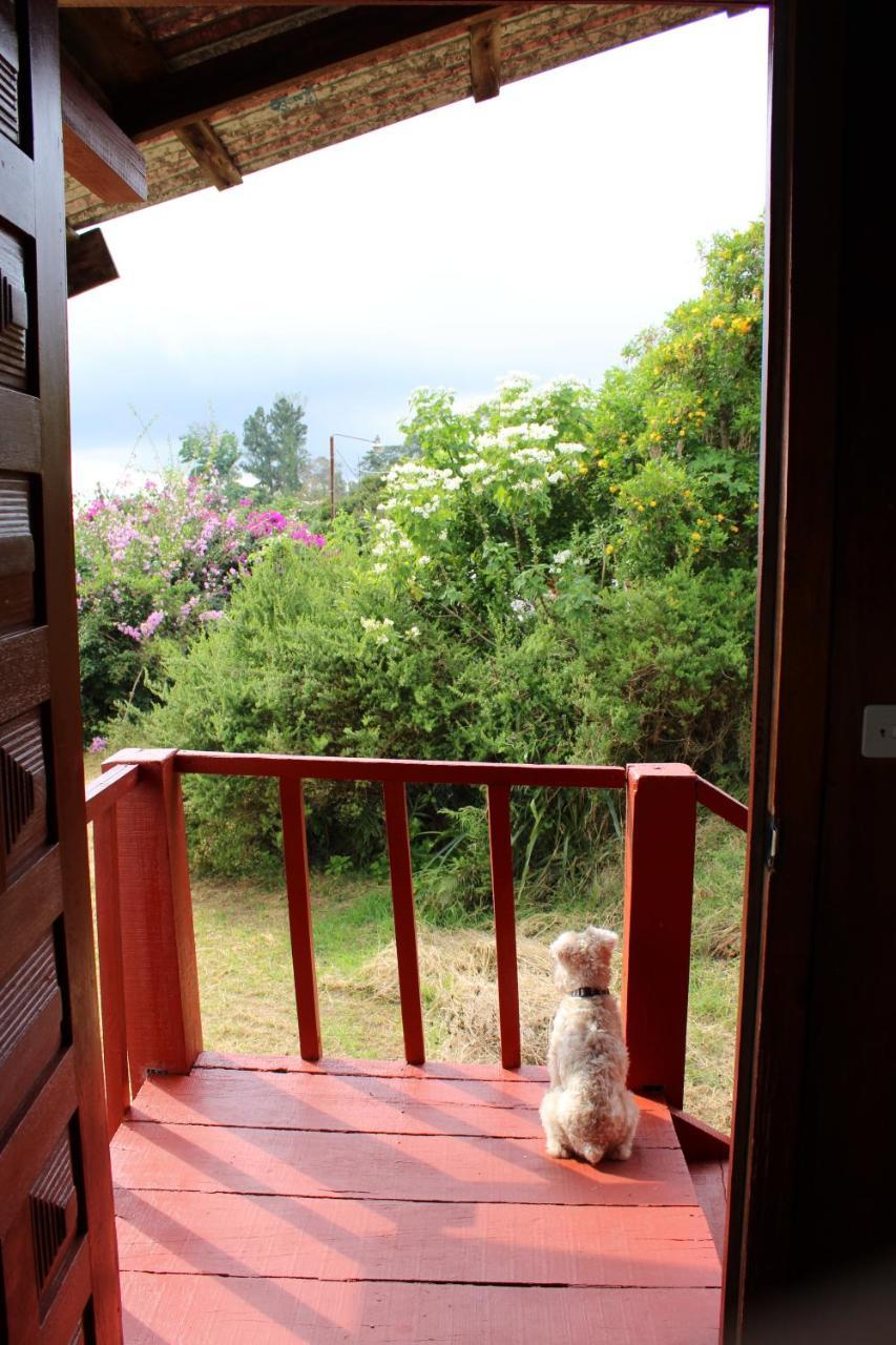 Hotel Las Fresas Del Volcan Poas Sabana Redonda Exterior photo